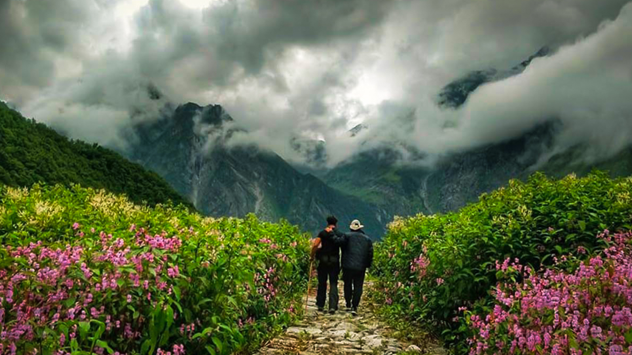 Valley of Flowers